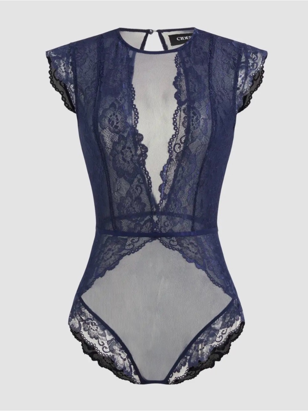 NWT - Cider Navy Lace Sheer Bodysuit with Cap Sleeves